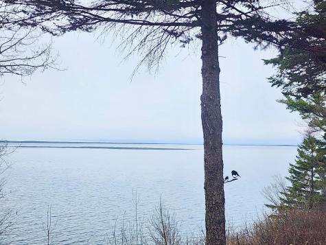 Xxxx Diamond Trail NW Walker MN 56484