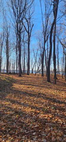 Xxxx Diamond Trail NW Walker MN 56484