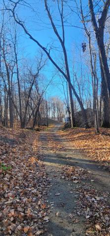 Xxxx Diamond Trail NW Walker MN 56484