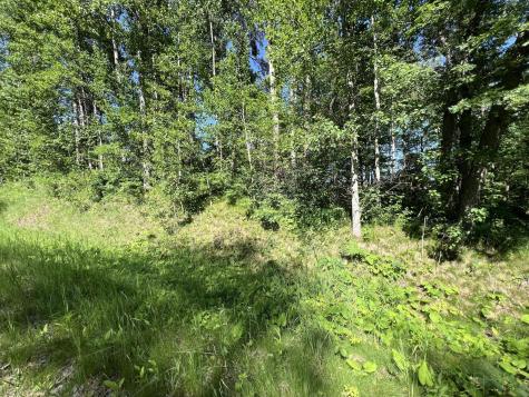 Lot 8 Terminal Road Breezy Point MN 56472