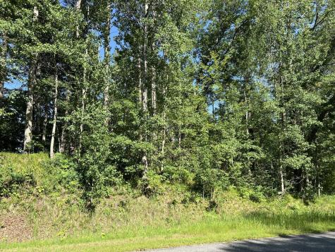 Lot 8 Terminal Road Breezy Point MN 56472