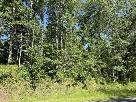 Lot 8 Terminal Road Breezy Point MN 56472