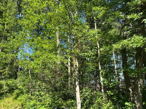 Lot 8 Terminal Road Breezy Point MN 56472