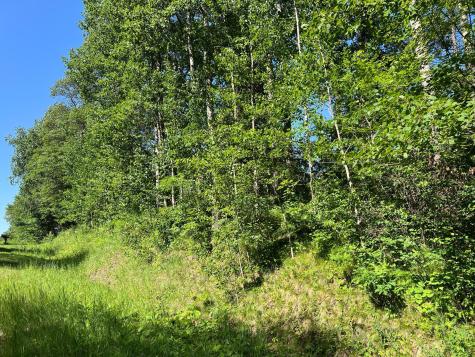 Lot 8 Terminal Road Breezy Point MN 56472