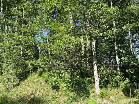 Lot 8 Terminal Road Breezy Point MN 56472