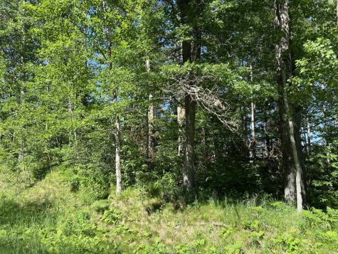Lot 8 Terminal Road Breezy Point MN 56472