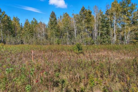 Tbd (XXX) Florence Trail Milaca MN 56353