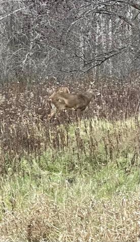 Tbd (XXX) Florence Trail Milaca MN 56353