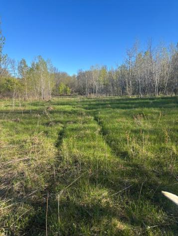Tbd (XXX) Florence Trail Milaca MN 56353