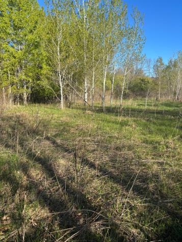 Tbd (XXX) Florence Trail Milaca MN 56353