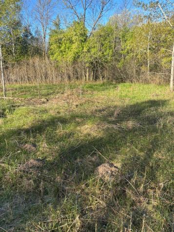 Tbd (XXX) Florence Trail Milaca MN 56353