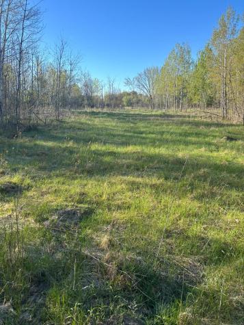 Tbd (XXX) Florence Trail Milaca MN 56353