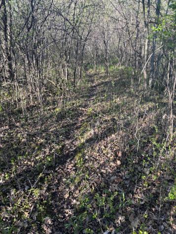 Tbd (XXX) Florence Trail Milaca MN 56353