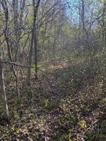 Tbd (XXX) Florence Trail Milaca MN 56353