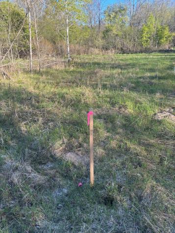 Tbd (XXX) Florence Trail Milaca MN 56353