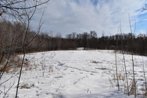 Tbd County Highway 26 Rochert MN 56578