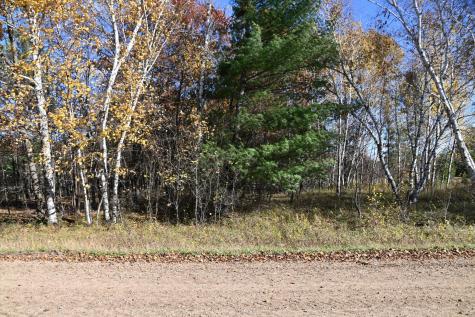 Tbd Pacer Loop Browerville MN 56438