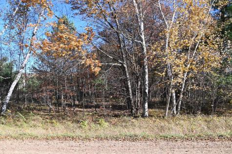 Tbd Pacer Loop Browerville MN 56438