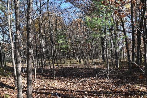 Tbd Pacer Loop Browerville MN 56438