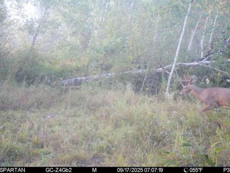 Tbd 310th Avenue Brook Park MN 55007