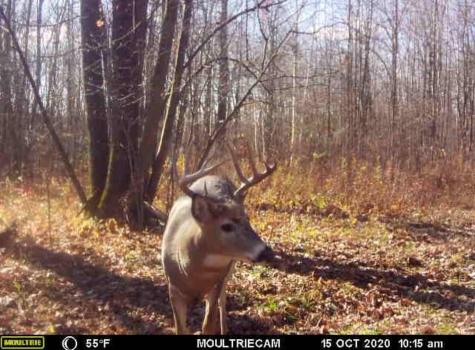 Tbd 310th Avenue Brook Park MN 55007