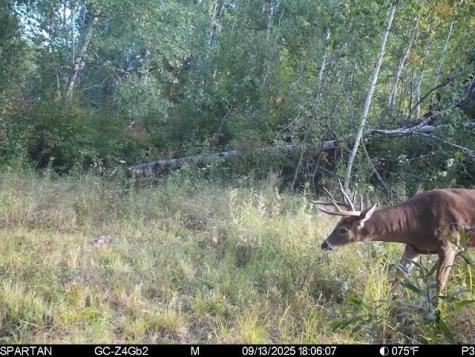 Tbd 310th Avenue Brook Park MN 55007