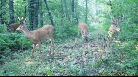 Tbd 310th Avenue Brook Park MN 55007