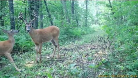 Tbd 310th Avenue Brook Park MN 55007