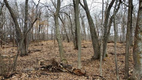 Tract B Linden Street Garrison MN 56450