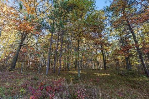 Tbd Liedlwood Lane Pequot Lakes MN 56472