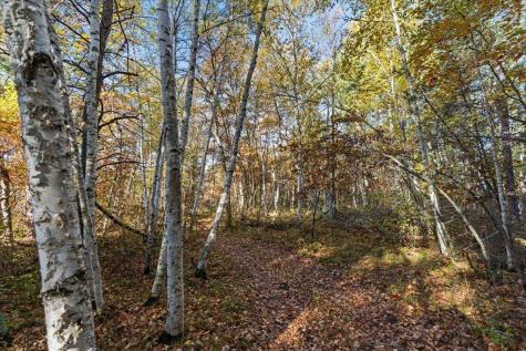 Tbd Liedlwood Lane Pequot Lakes MN 56472