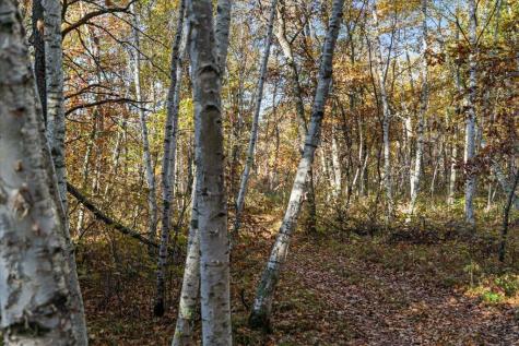 Tbd Liedlwood Lane Pequot Lakes MN 56472