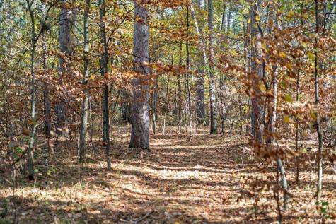 Tbd Liedlwood Lane Pequot Lakes MN 56472