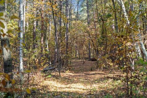 Tbd Liedlwood Lane Pequot Lakes MN 56472