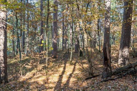 Tbd Liedlwood Lane Pequot Lakes MN 56472