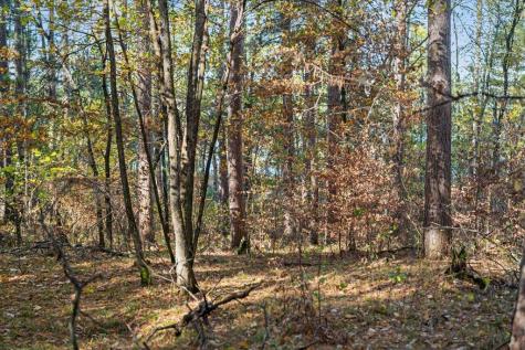 Tbd Liedlwood Lane Pequot Lakes MN 56472