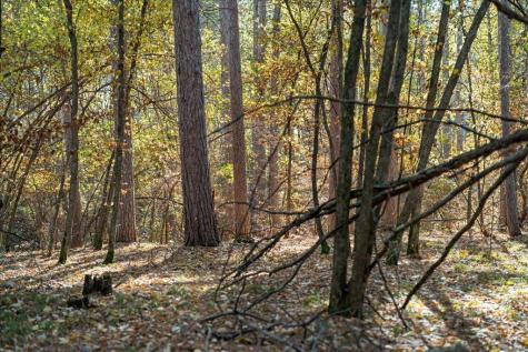 Tbd Liedlwood Lane Pequot Lakes MN 56472