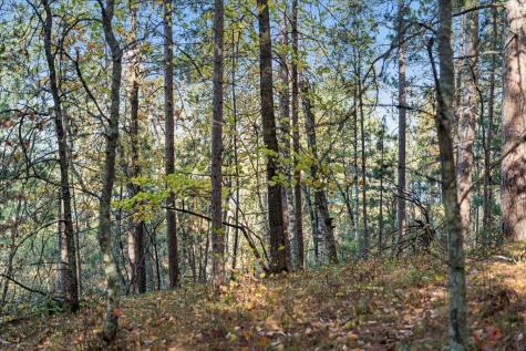 Tbd Liedlwood Lane Pequot Lakes MN 56472