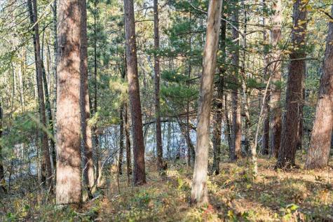 Tbd Liedlwood Lane Pequot Lakes MN 56472