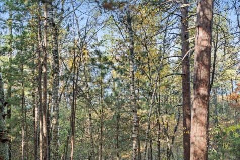 Tbd Liedlwood Lane Pequot Lakes MN 56472