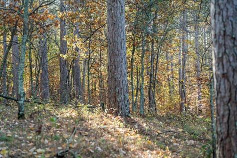 Tbd Liedlwood Lane Pequot Lakes MN 56472