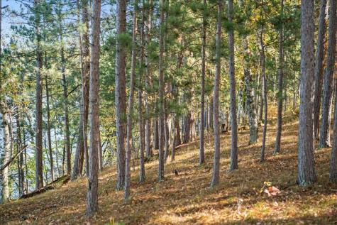 Tbd Liedlwood Lane Pequot Lakes MN 56472