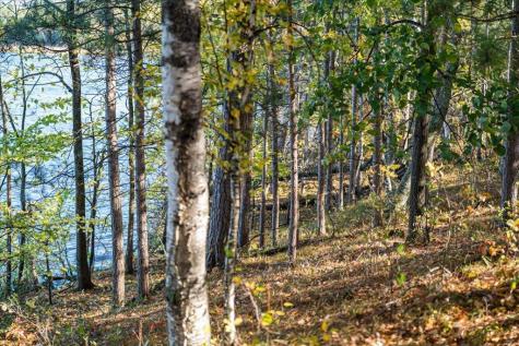 Tbd Liedlwood Lane Pequot Lakes MN 56472
