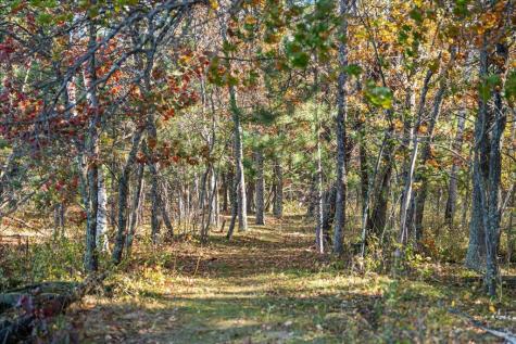 Tbd Liedlwood Lane Pequot Lakes MN 56472