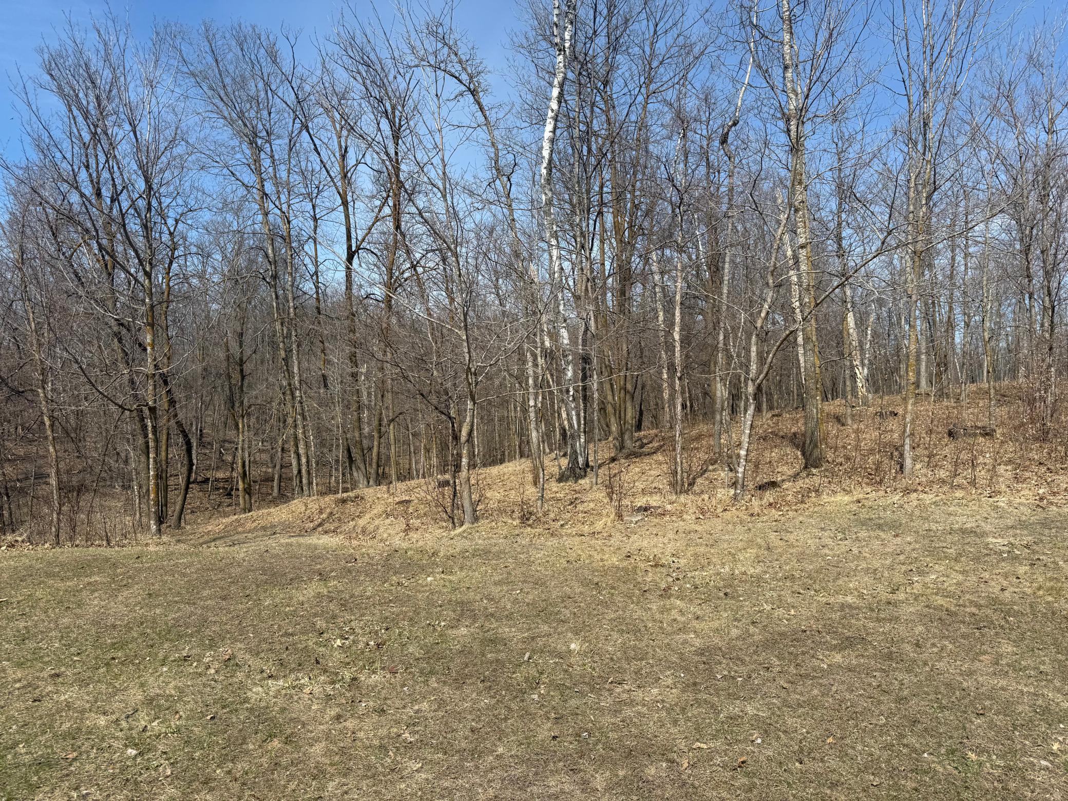 14888 Eaglewood Drive Detroit Lakes MN 56501
