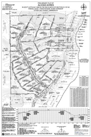 Lot 2, Block 1 Alivia's Avenue Pelican Rapids MN 56572