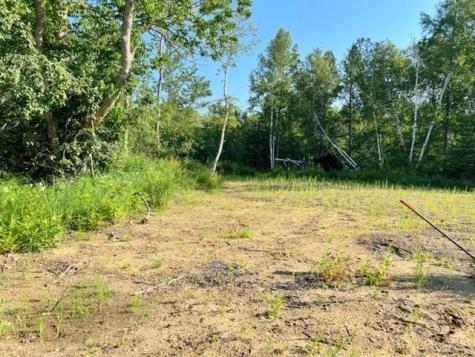 Tbd Co Highway 71 Wadena MN 56482