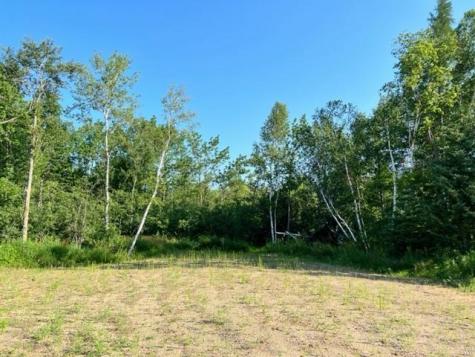 Tbd Co Highway 71 Wadena MN 56482
