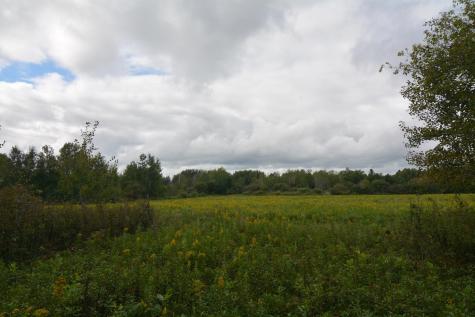 Tbd 130th Avenue Milaca MN 56353