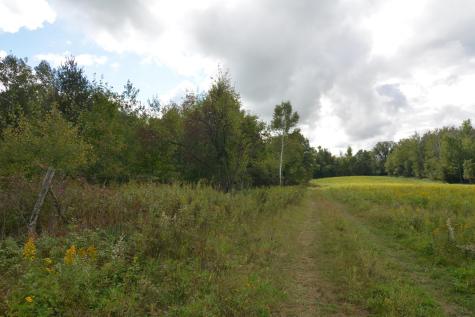 Tbd 130th Avenue Milaca MN 56353
